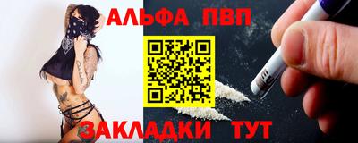 крисы Можга