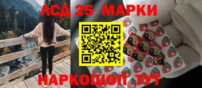 крисы Можга