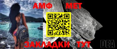крисы Можга