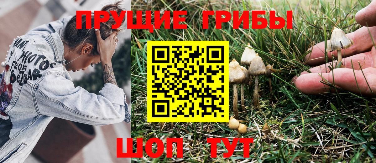 Тавда  Галлюциногенные грибы мицелий  Вход с VPN  Псилоцибиновые грибы мухоморы 